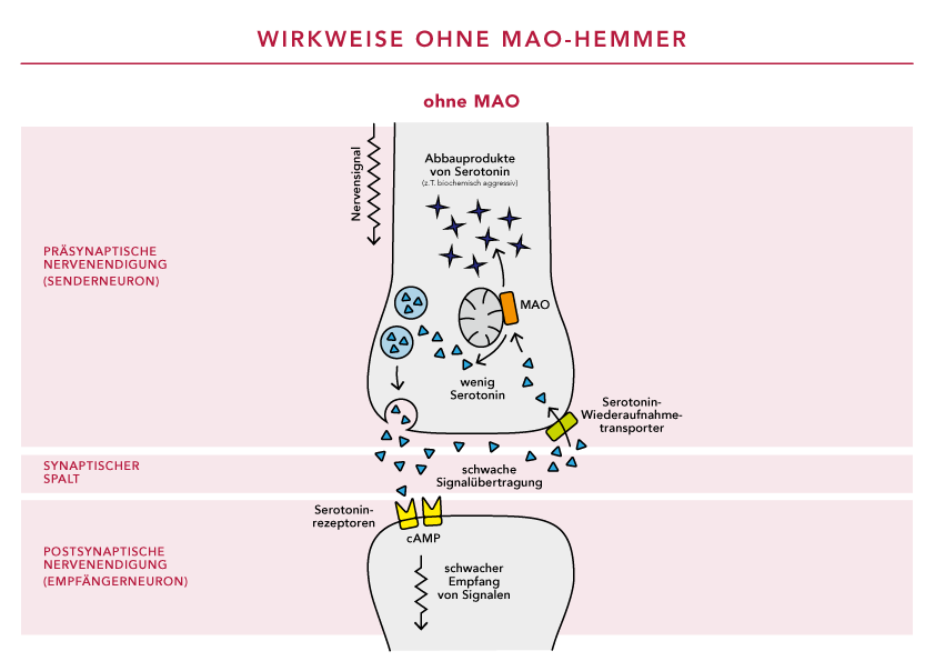 Was Ist Ein Mao Hemmer Depression begegnen | Wirkstoff Tranylcypromin