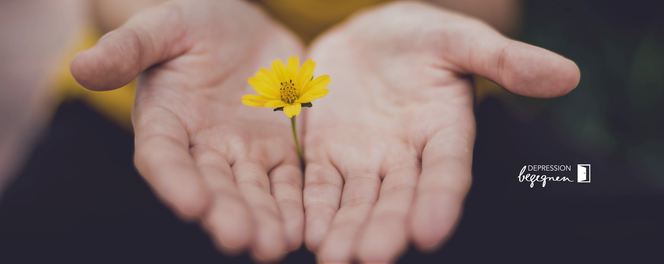 Blume in Hand