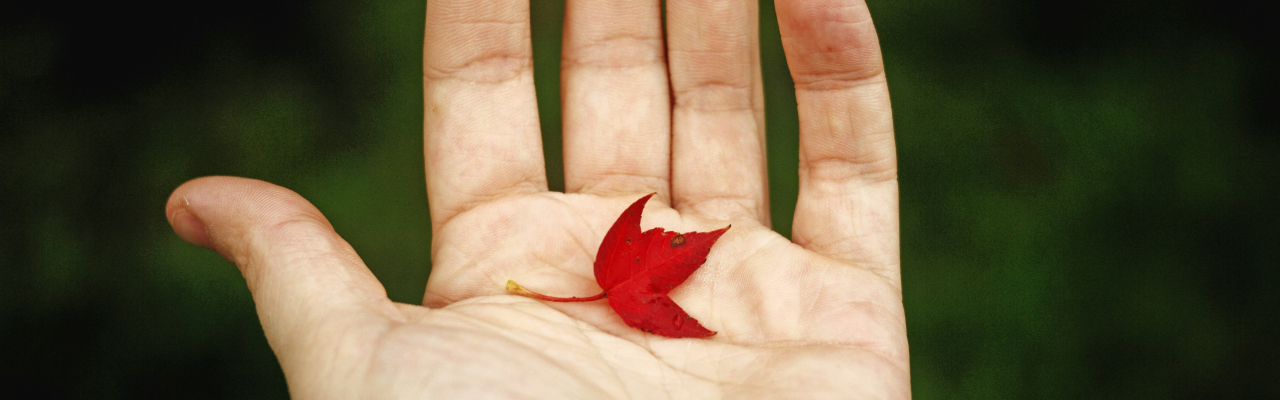 Hand Blatt